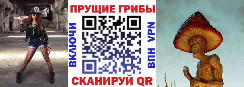 Псилоцибиновые грибы Psilocybe Пучеж